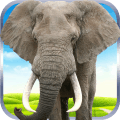 大象野外生存模拟下载_大象野外生存模拟最新版下载