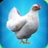我的鸡模拟器下载_我的鸡模拟器手机版下载
