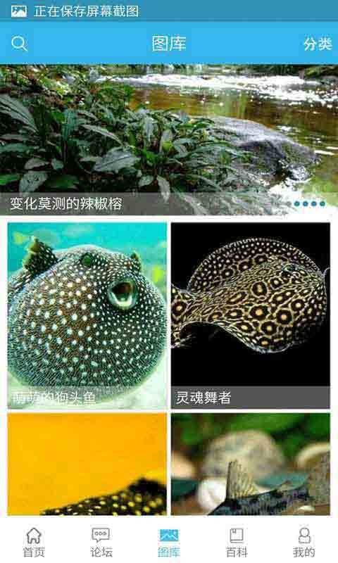 水族汇截图3