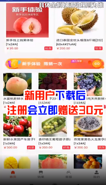 网新商城截图3