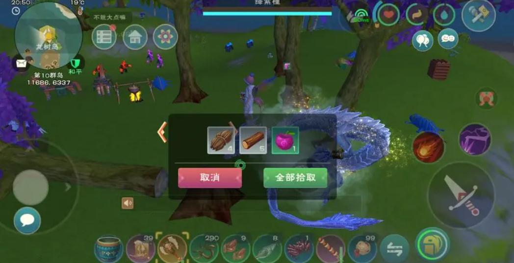 创造与魔法水龟吃什么