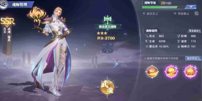 斗罗大陆魂师对决月关魂环用什么