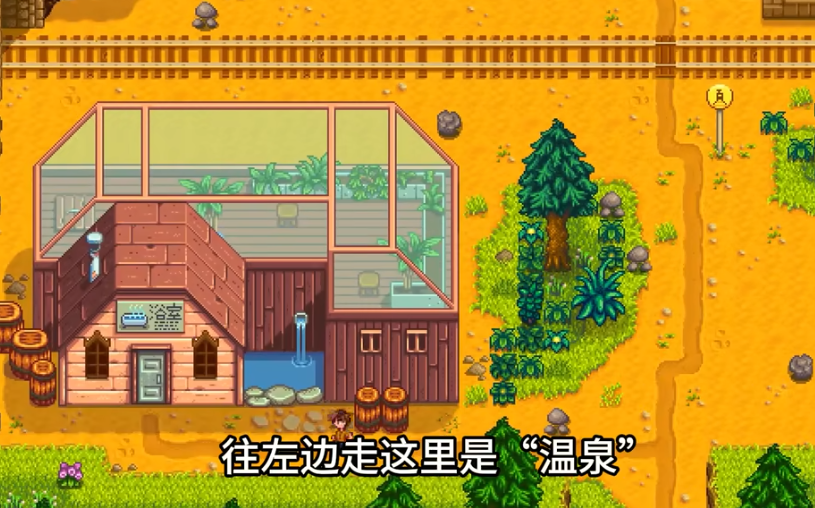 星露谷物语的温泉在哪