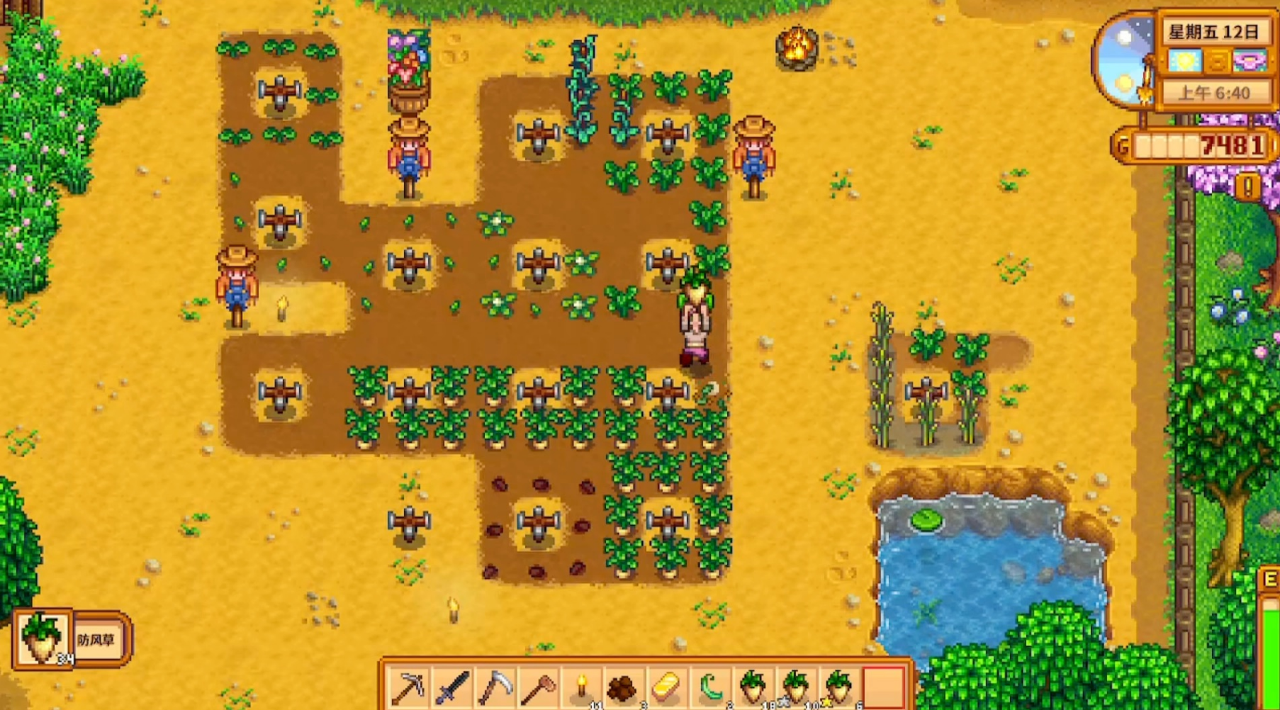 星露谷物语能种植什么