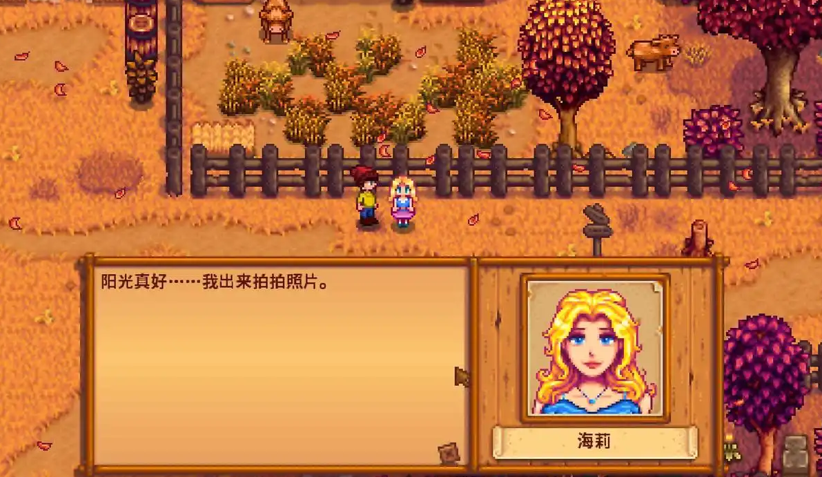 星露谷物语如何和海丽结婚