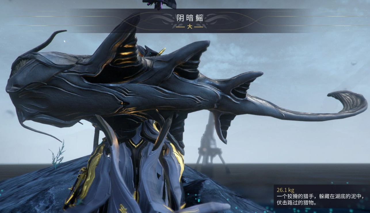 星际战甲稀有鱼在哪里