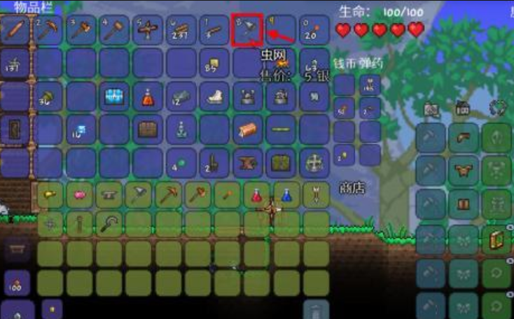 泰拉瑞亚捕虫网怎么做