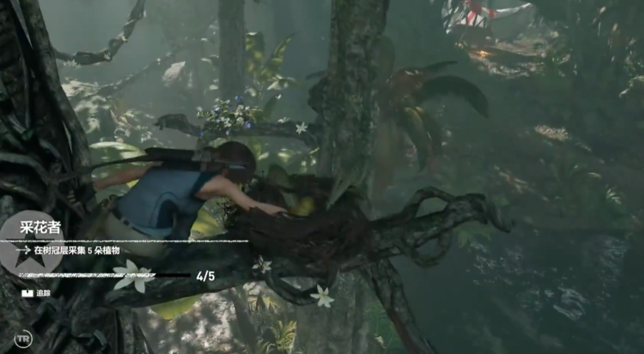 古墓丽影秘鲁森林怎么过