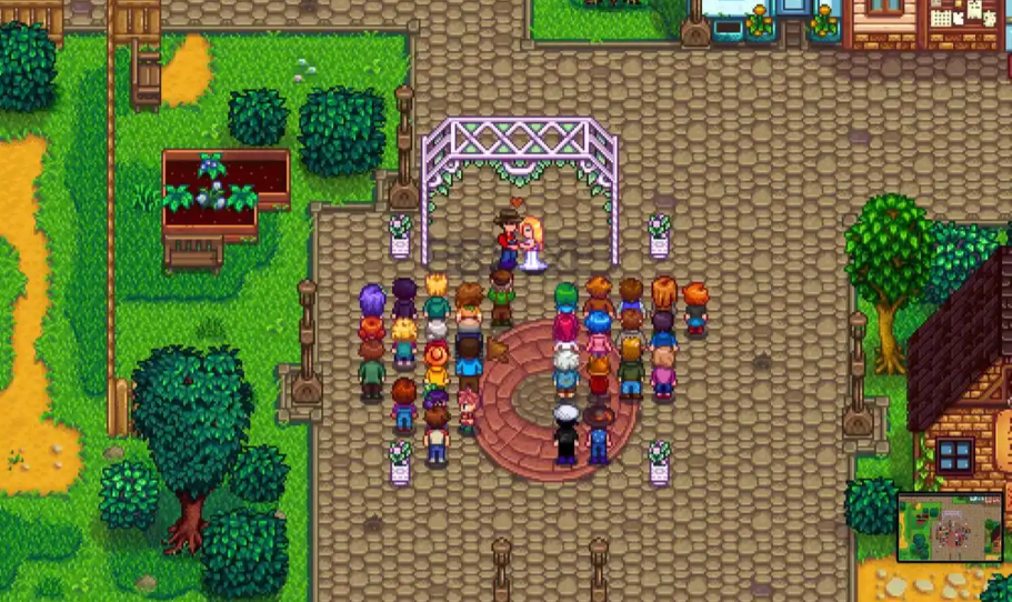 星露谷物语怎么和潘妮生孩子