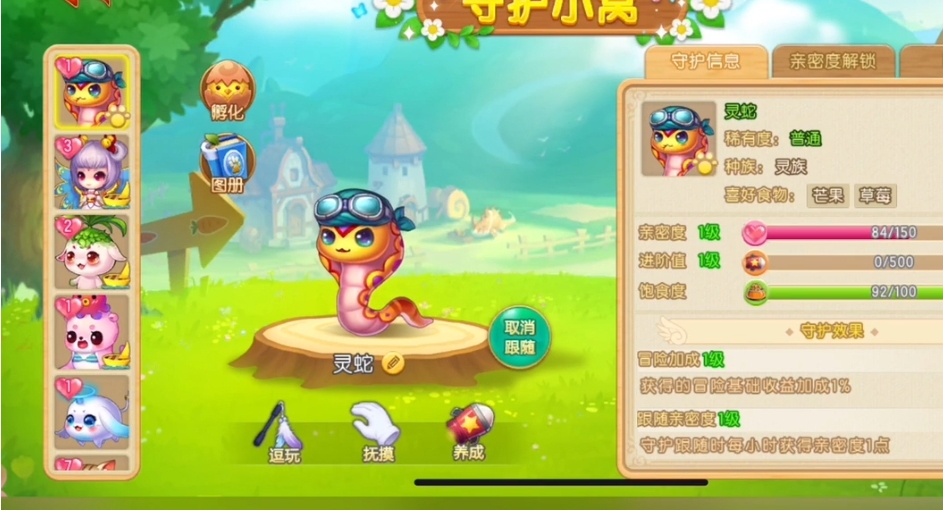 弹弹堂大冒险传说守护吃什么