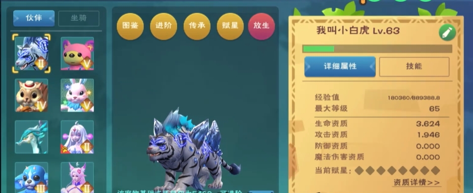 创造与魔法奇遇宠物有哪些
