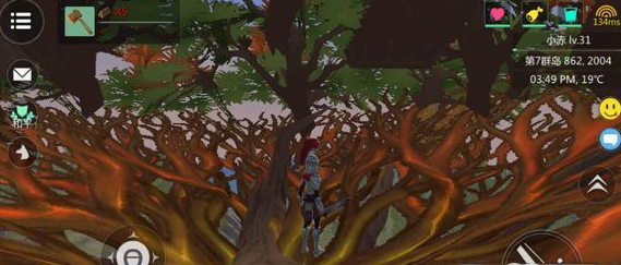 创造与魔法龙血树在哪里