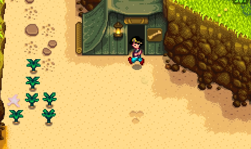 星露谷物语帐篷任务怎么做